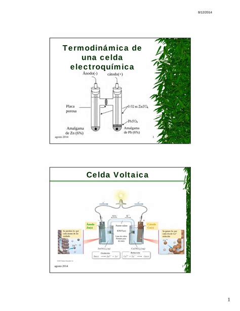 PDF Termodinámica de una celda electroquímica 4 7 Relación de Gibbs