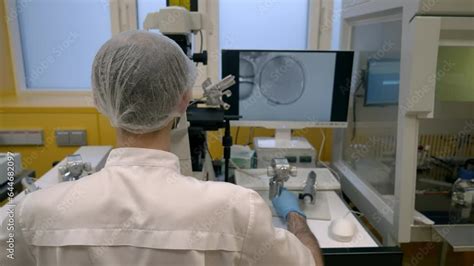 Doctor Operating The Modern Ivf Equipment For Sperm Injection Into The