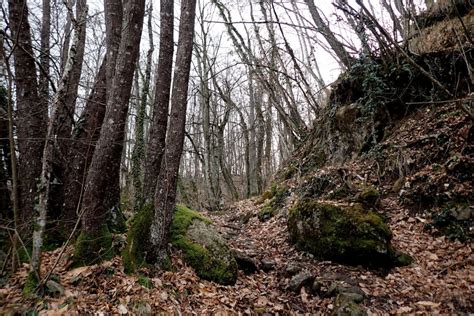 Montese Ambiente E Storia L Insediamento Etrusco Del Lago Bracciano