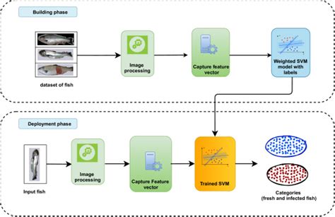 Fish Disease Detection Using Image Based Machine Learning Technique In