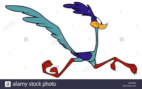 Road Runner Cartoon Stock Photos & Road Runner Cartoon Stock Images - Alamy