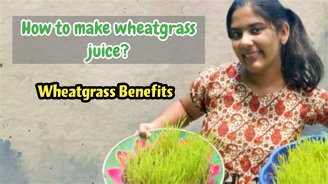 Wheatgrass Juice Health Benefits Of Wheatgrass Juice Youtube