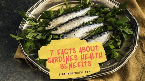 Top 7 Facts About Sardines Health Benefits | Biophytopharm