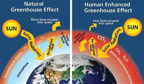 Enhanced Greenhouse Gas Effect - Greenhouse Effect