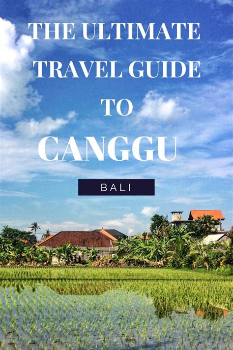 Ultimate Travel Guide To Canggu Bali Things To Do Eat Where To