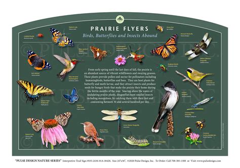 Pdns Bird Conservation Migratory Songbird Nesting Habitat Id Guide