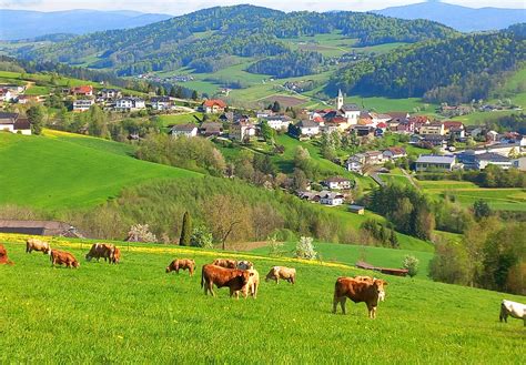 Frühling Im Mühlviertel Rohrbach