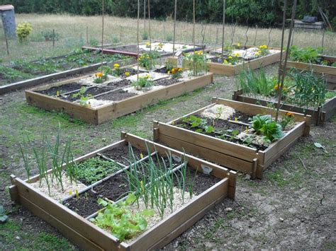 Création de mon potager en carrés Aiguilles et Myrtilles