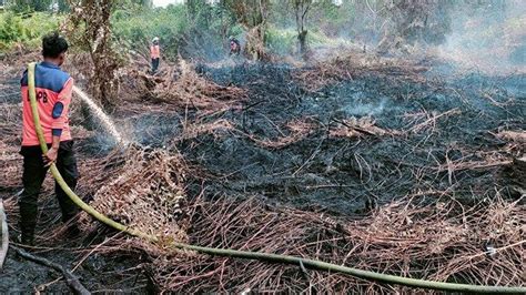 Akhir Pekan Hotspot Riau Terdeteksi Cuma 6 Titik Ini Lokasinya