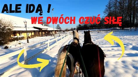 WCHODZIMY na wyższy POZIOM Ogień na dwa KONIE VLOGMAS 21 YouTube