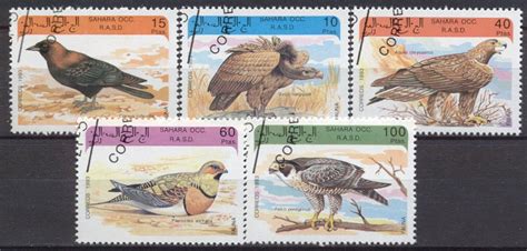 Sahara Occidental Sah Oiseaux Pinoncollections