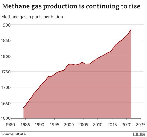 Cutting Methane Gas Crucial For Climate Fight Bbc News