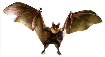 Giant Bat | Monster Wiki | Fandom