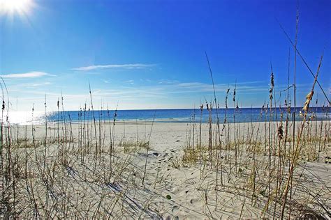 Gulf Shores Camping: Everything You Need to Know RVgoer