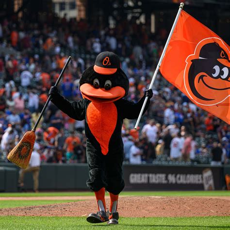 Orioles Mascot