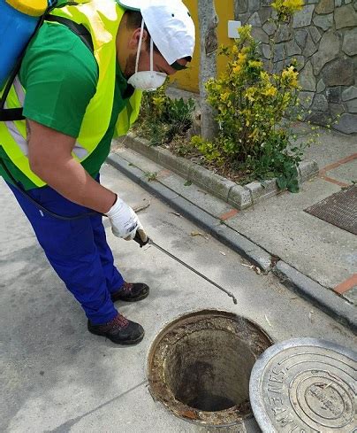 El tratamiento para controlar la plaga de cucarachas se ejecutará los