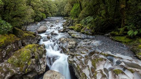 How do humans use the amazon river? - Aboutriver.com