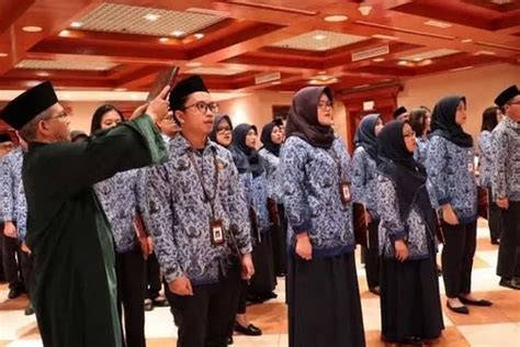 CPNS 2023 Segera Dibuka Jurusan Kuliah Ini Berpeluang Besar Lolos