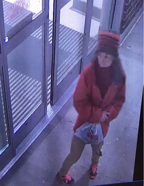 Police Search For Missing Toronto Woman Jordana Floros Oye Times