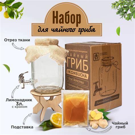 Набор для Чайного гриба. Лимонадник 3л с краном + Чайный гриб + Ткань ...