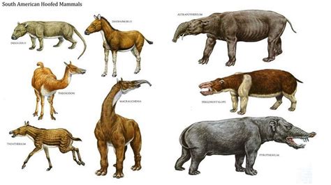 Prehistoric Animals Ancient Animals Extinct Animals