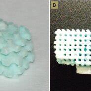 Pdf Mechanical Study Of Polycaprolactone Hydroxyapatite Porous