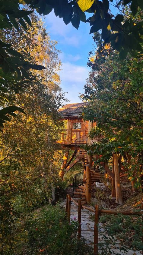 Notte In Casa Sull Albero A Pamparato Fuori Cuneo Holidoit