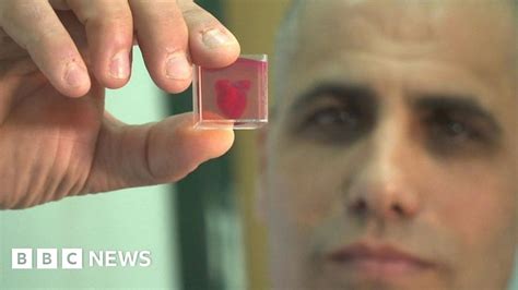 Israeli Scientists Print D Heart Using Human Tissue