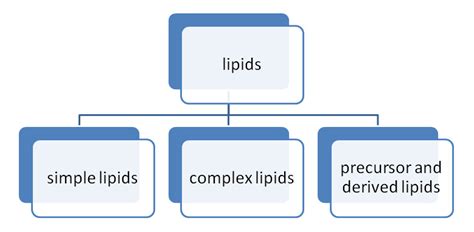 Classification Of Lipids Chart: A Visual Reference of Charts | Chart Master