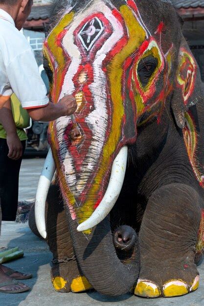 Premium Photo | Painted elephant at the festival of thailand