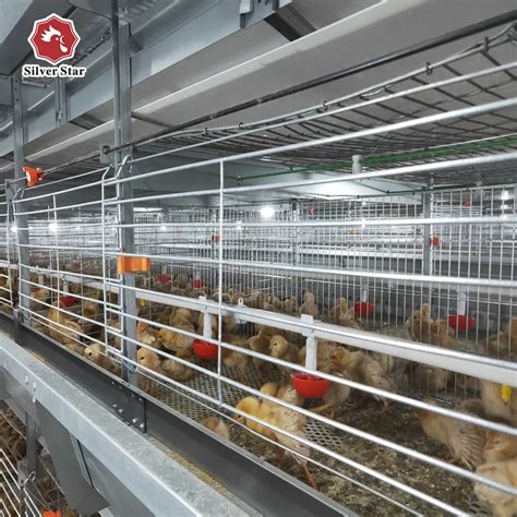 Broiler Poultry Farming Tier H Type Fully Automatic Battery Chicken