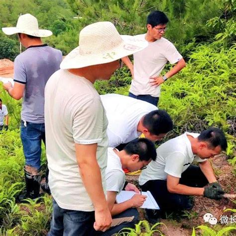 百日攻坚丨提速，提速，再提速，长汀县河田镇又一县重点项目完成净地交付征地坟墓政府