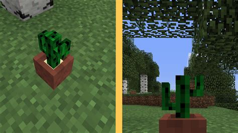 What Can You Make With Cactus In Minecraft When Placing A Cactus