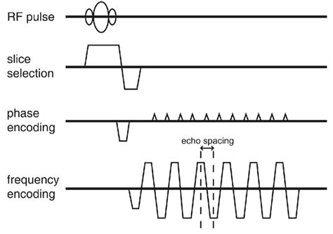 Graphical Diagram Of Gradient Echo Epi Fmri Acquisition Sequence The