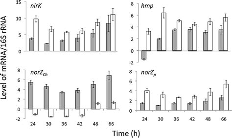 Levels of mRNA of select genes in S. wittichii RW1 WT (gray bars) and ... 
