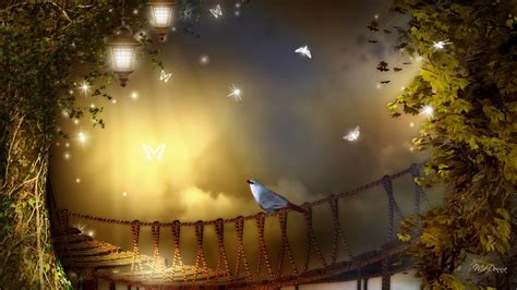 Bird On Rope Bridge Hd Desktop Wallpaper Widescreen High Definition