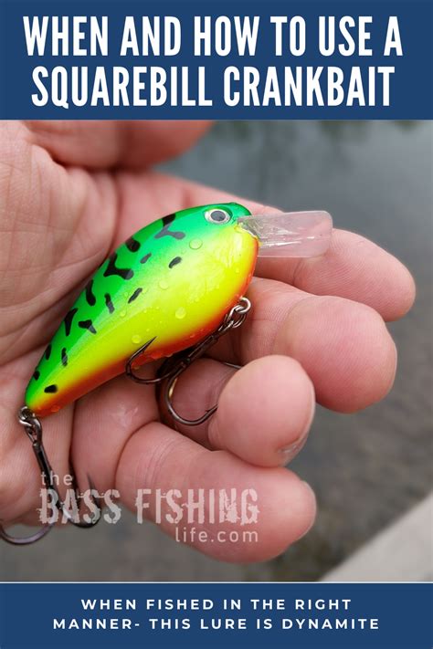 Why Balsa Crankbaits Excel For Cold Water Bass Artofit