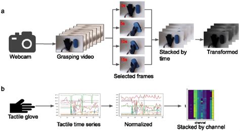 Data Preprocessing A Shows The Preprocessing Pipeline Of Video Data