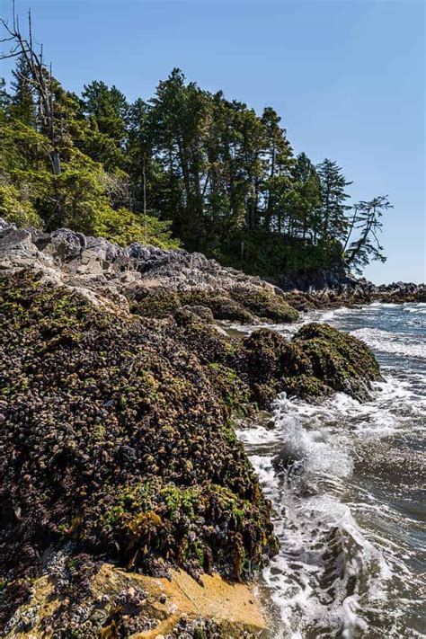 Tonquin Trail Beach Hike | Get Inspired Everyday!