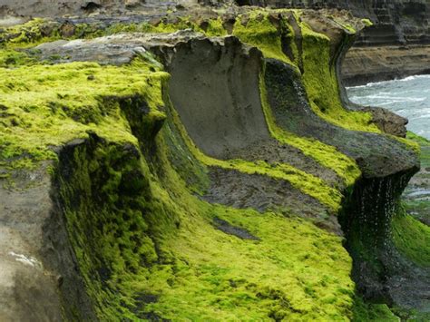 Photos Official Punakaiki Tourism Website