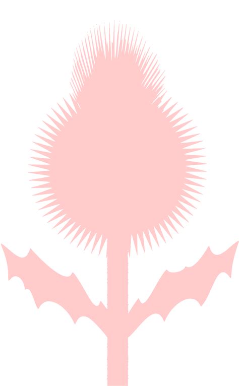 Svg Espinas Florecer Hierba Flor Imagen E Icono Gratis De Svg