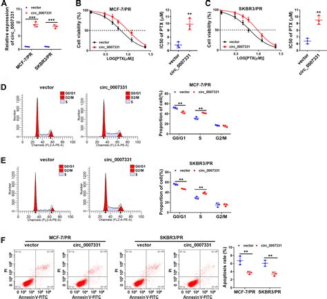 Circ 0 007 331 Promotes The PTX Resistance And Progression Of Breast