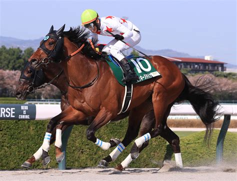 【平安s登録馬】ミッキーヌチバナなど18頭（競馬のおはなし） Yahooニュース