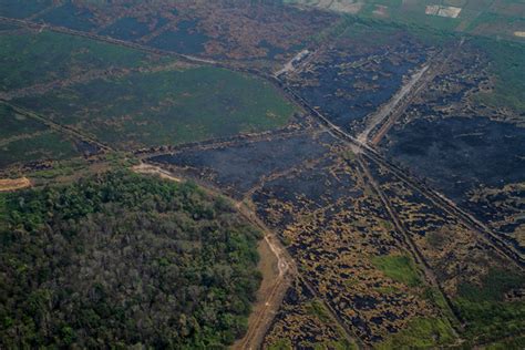 Photos Peatland Fires Rage Through Indonesia’s Sumatra Island