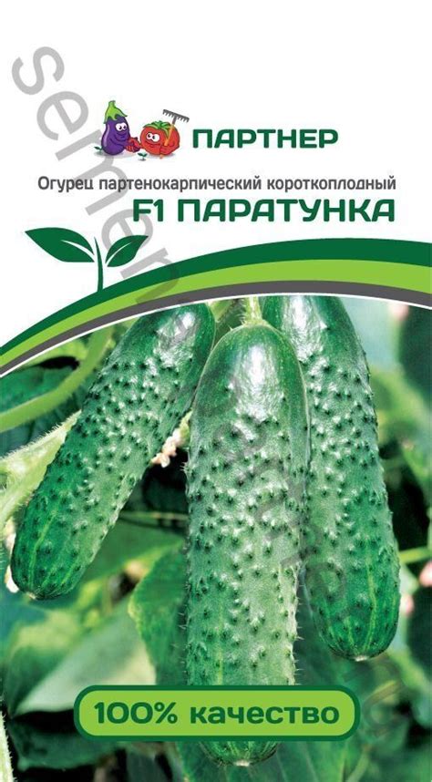 Cемена огурца Паратунка F1 ─ купить в интернет магазине в Украине