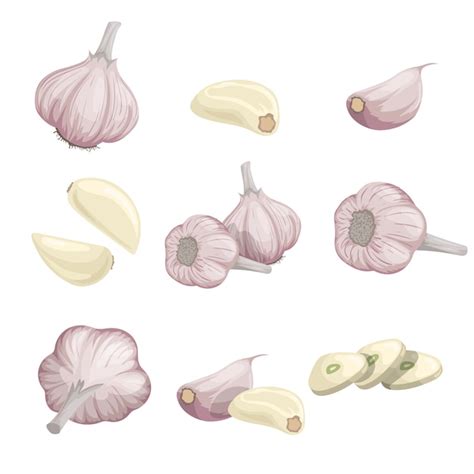 Premium Vector Cartoon Garlics Set Whole Garlic Peeled Cloves And