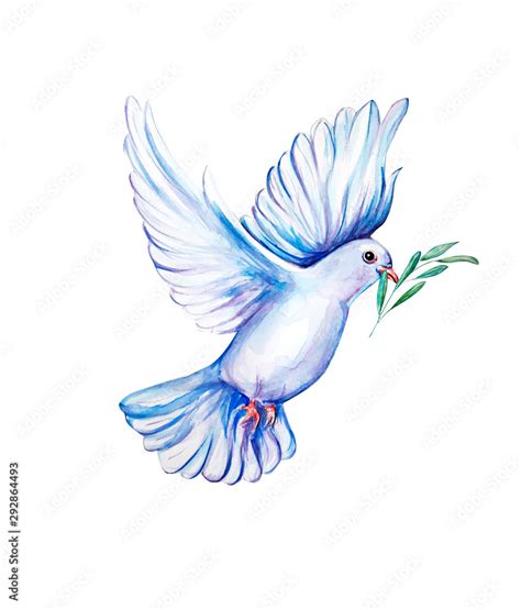 Peace bird, dove, art, water color drawing Stock Illustration | Adobe Stock