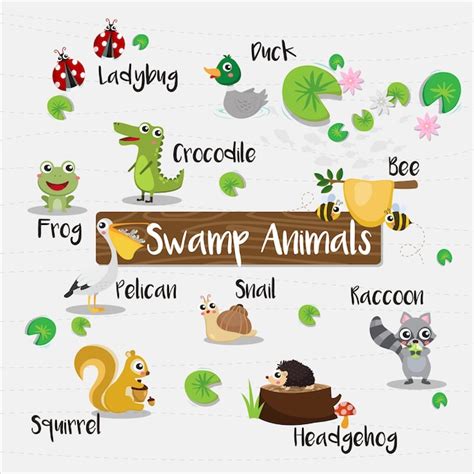 Premium Vector | Swamp Animals cartoon with animal name