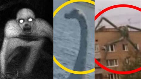 Top Scary Mysterious Creatures Caught On Video Are These The