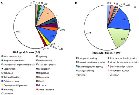 Transcriptomics of D. reticulatus unfed larvae. (A) Transcripts ...